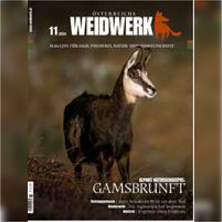 Für schnelle Schüsse